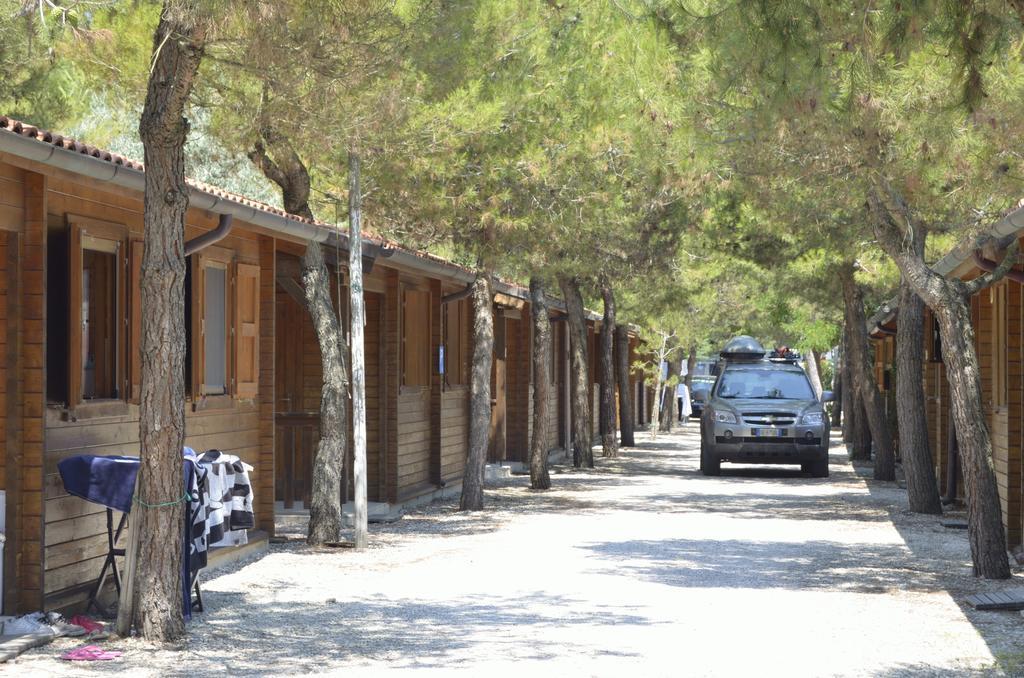 Camping La Pineta 雷卡纳蒂港 外观 照片