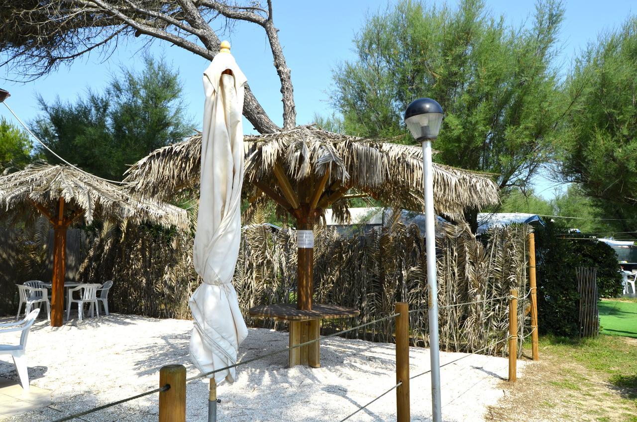 Camping La Pineta 雷卡纳蒂港 外观 照片